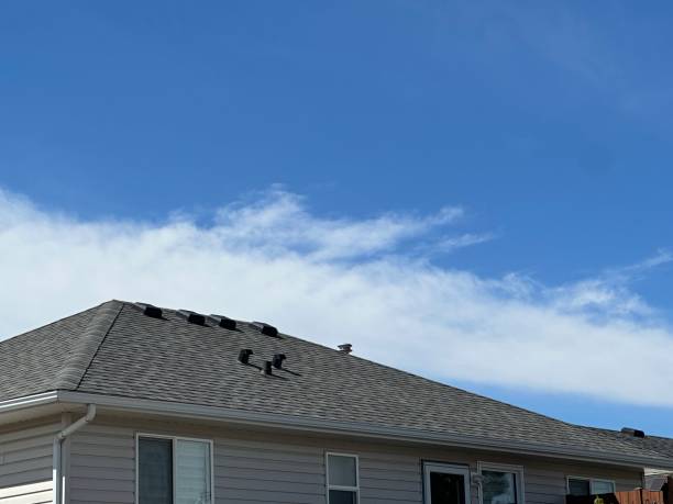 Best Steel Roofing  in Crooks, SD